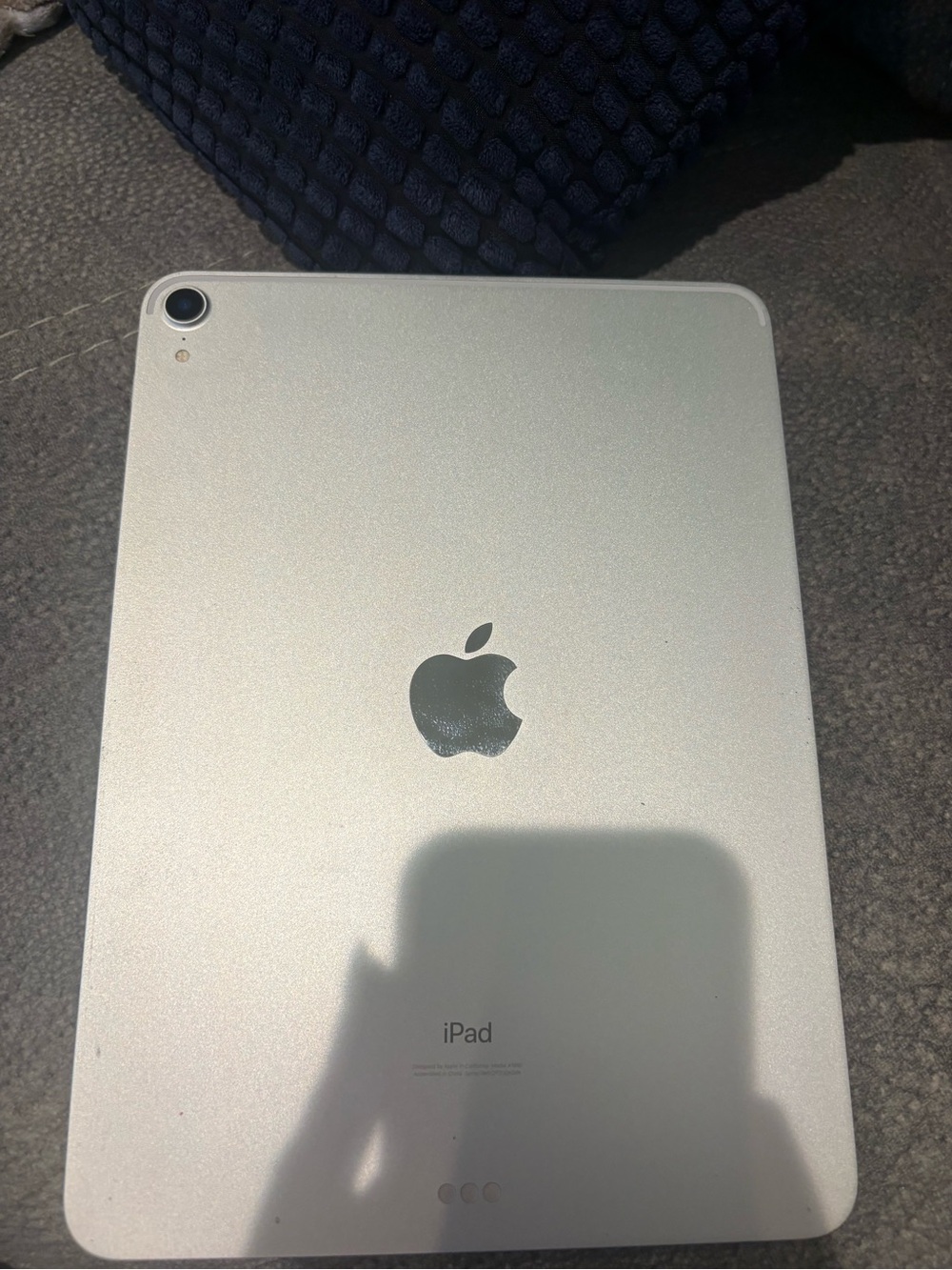 Apple iPad - Silver Back Panel